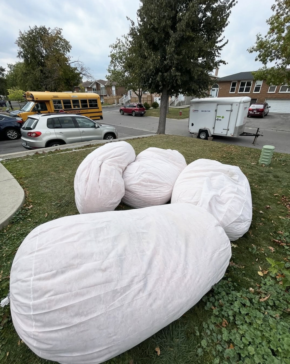 Insulation removal Ontario